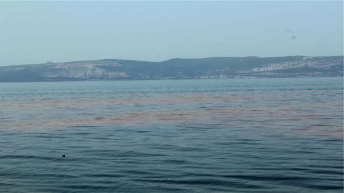 Planktonlar deniz suyunu turuncuya boyadı