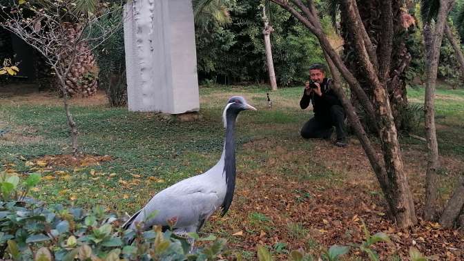 Rıdvan Şükür; Darıcada Turnaları fotoğrafladı