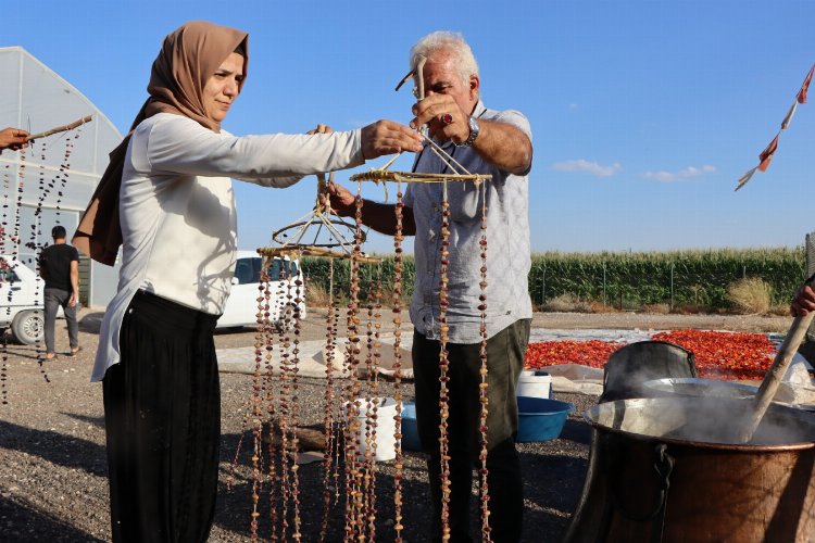 Şanlıurfa'da kadından üretime büyük katkı