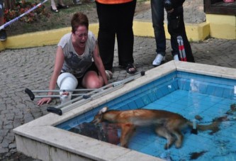 SUÇLU KÖPEKMİŞ !!!