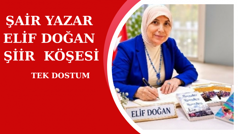 TEK DOSTUM