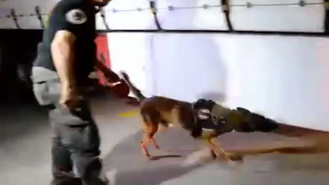 TEM Otoyolunda 65 kg eroin ele geçirildi