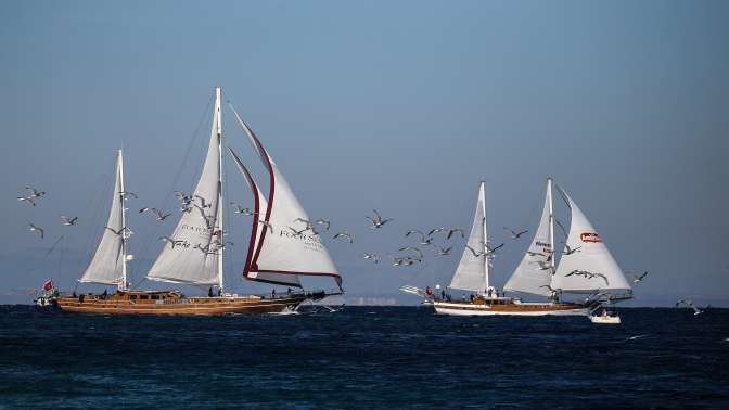 The Bodrum Cup başlıyor