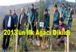 2013’ün ilk ağacı dikildi