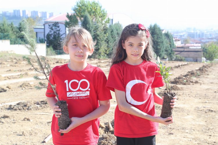 553 şehidimiz adına fidanları İzmit'te toprakla buluştu