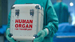 9 bin böbrek hastası organ bulunamazsa hayatını kaybedecek