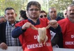 "AKP, vatandaşı tavuk gibi yoldu"