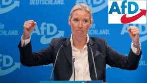 Almanya İçin Alternatif Partisini, (Afd) Resmen Aşırı Sağ Parti