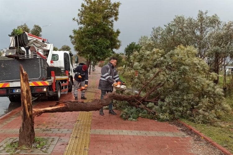 Antalya'yı fırtına vurdu