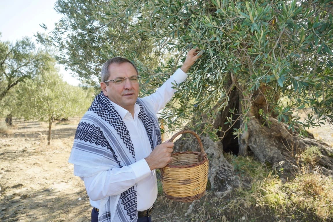 Ayvalık, zeytin ve zeytinyağının buluşma noktası olacak