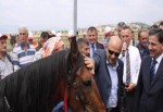 Bakan Işık'a yarış atı hediye edildi