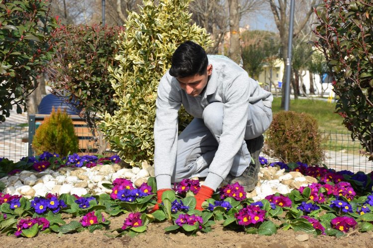 Balıkesir Edremit bahara erken girdi