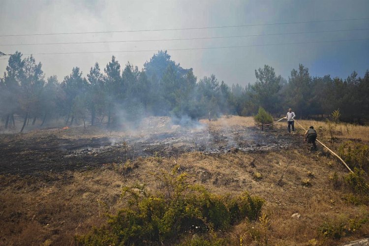 Bursa Büyükorhan'da yangın kabusu