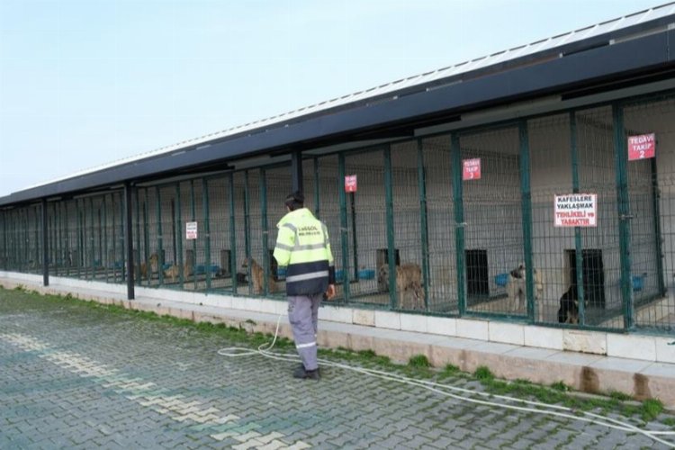Bursa'da can dostları İnegöl ile güvende