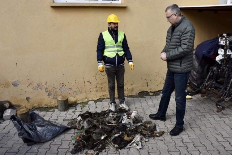 Bursa'da leylek yavrularına 5 yıllık hizmet 