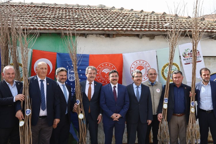 Bursa'da Mudanyalı çiftçilere Trabzon hurması fidanı dağıtıldı