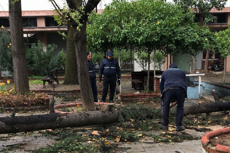 Bursa'da Osmangazi’de lodos mesaisi