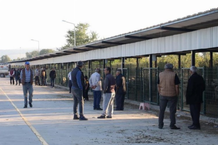 Bursa İnegöl'de hayvan pazarı geçici süreliğine kapalı