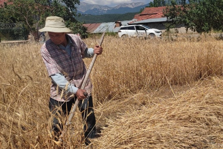 Bursa Keles’te ata topraklarına sahip çıkıyor