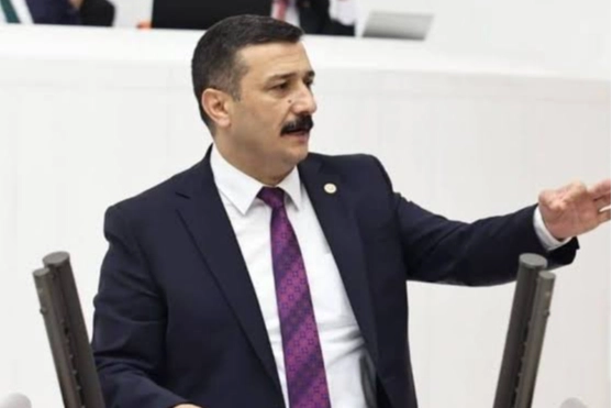 Bursa’nın “doğa incisi Longoz” neden kaderine terk edildi?