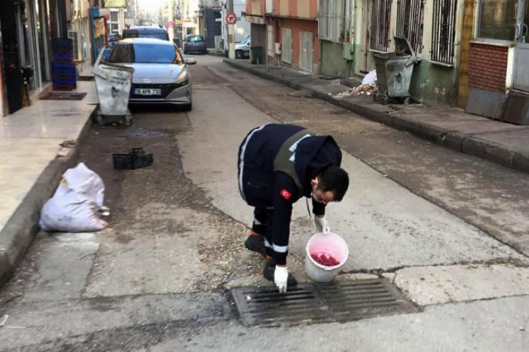 Bursa Osmangazi'de haşerelere karşı ilaçlama