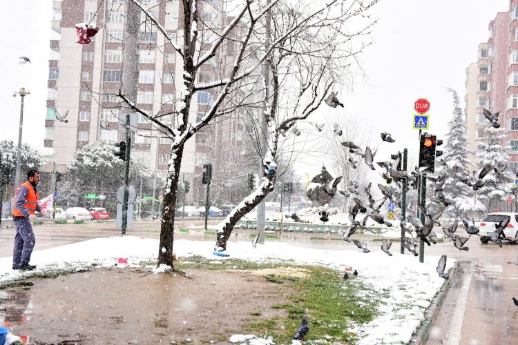 Bursa Yıldırım'da can dostları unutulmadı