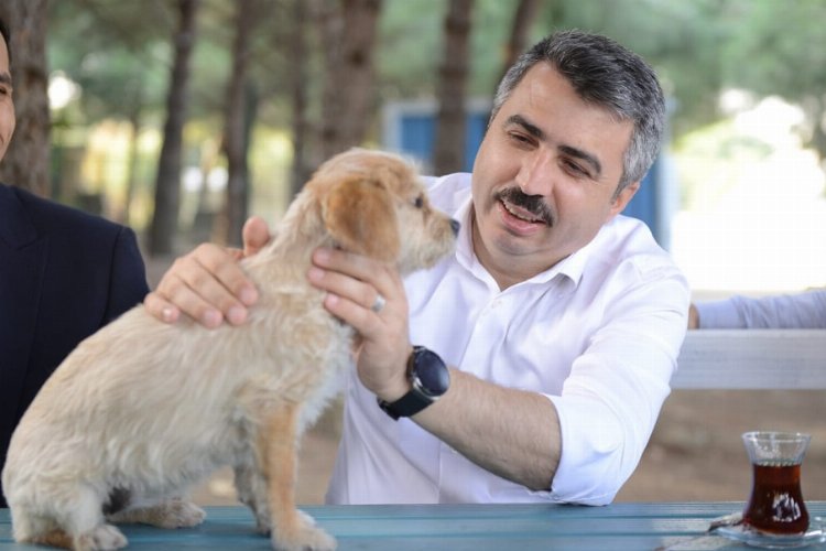 Bursa Yıldırım'da can dostlara şefkat eli