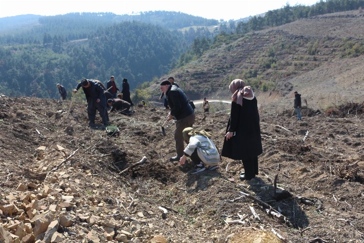 Bursa Yıldırım'da Saadet'ten Erbakan adına 'hatıra ormanı'