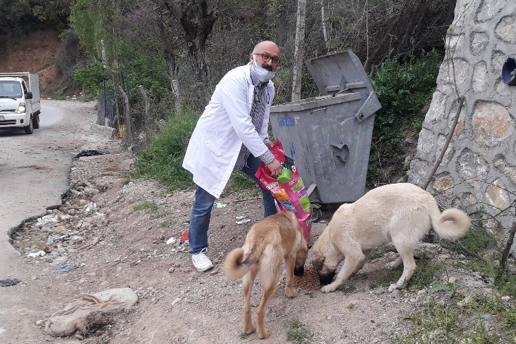 Bursalı veterinerden 'bir kap su, bir kap mama' çağrısı