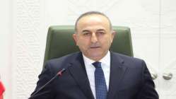 Çavuşoğlu: 350 diplomat ihraç edildi