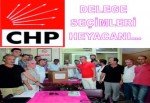 CHP’de Delege Seçimleri Başladı