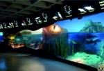 Darıca'ya Deniz Müzesi Yapılacak