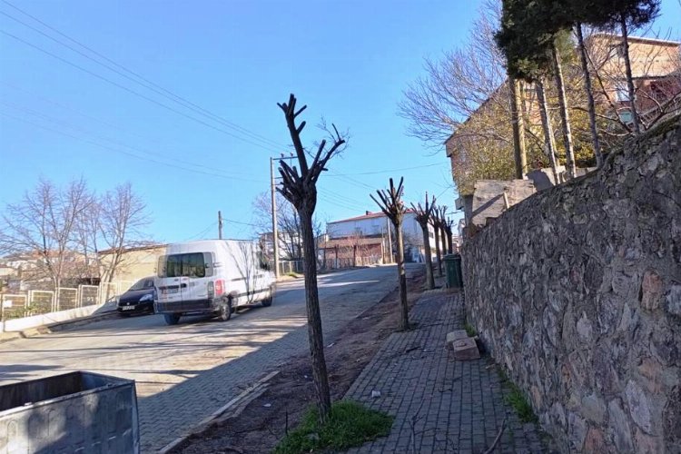 Dilovası’nda ağaçlar 'form'a giriyor
