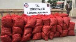Edirne’de 1 ton 260 kilo kaçak midye ele geçirildi