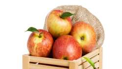 Elma ye hastalıklardan korun
