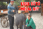 Eşek sütü harammış!