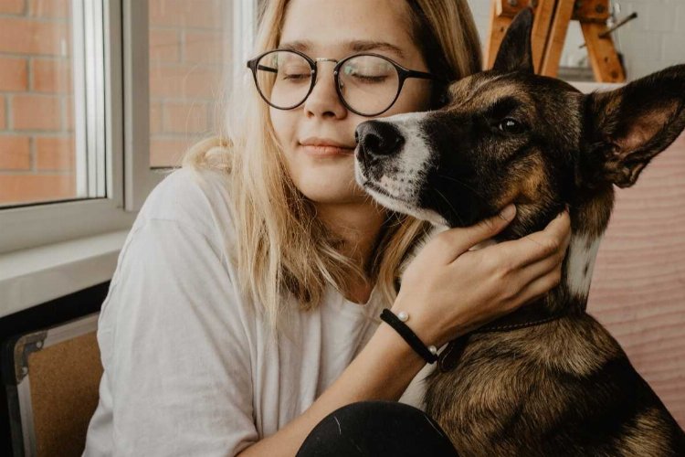 Evde erken yaşta kedi ve köpek beslemek, alerji riskini azaltıyor