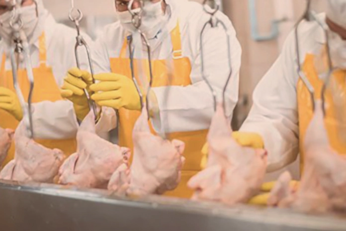 Filipinler’e kanatlı eti ve su ürünleri yolu açıldı