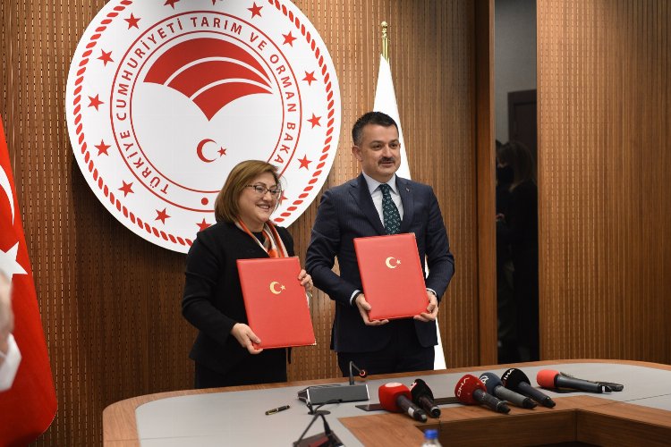 Gaziantep'te aşı desteğini uzmanlar olumlu karşıladı
