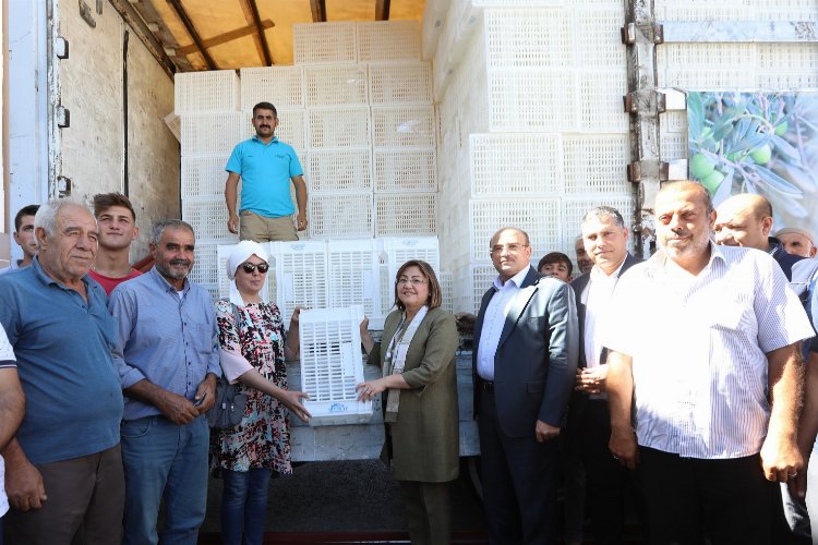 Gaziantep'te zeytin üreticilerine 40 bin adet hasat kasası