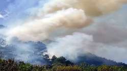 Geyve'de çıkan orman yangını kontrol altına alındı