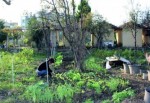 Gölcük Belediyesi Hobi Bahçeleri, Gözde Mekanlar Olmaya Başladı