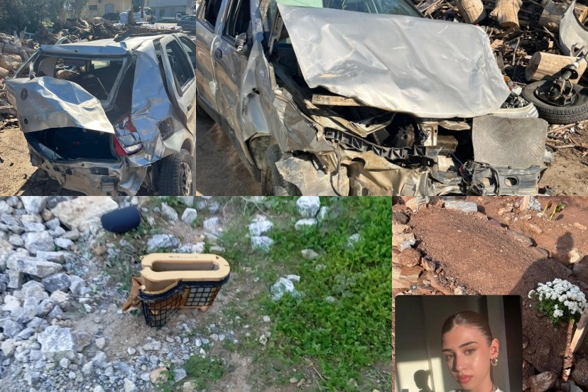 Hayali uçak mühendisi olmaktı, 17 yaşında hayatını kaybetti! Sürücü serbest!
