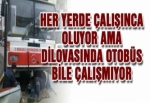 HER YERDE ÇALIŞINCA OLUYOR AMA DİLOVASINDA OTOBÜS BİLE ÇALIŞMIYOR