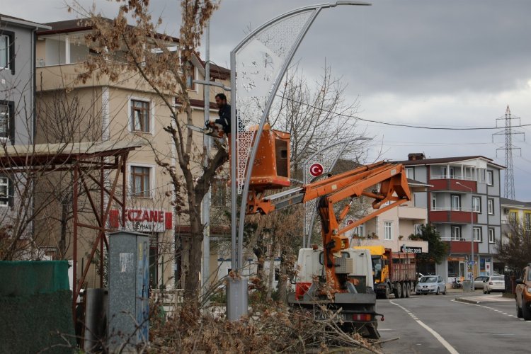 İzmit'te ağaç budama çalışmaları sürüyor