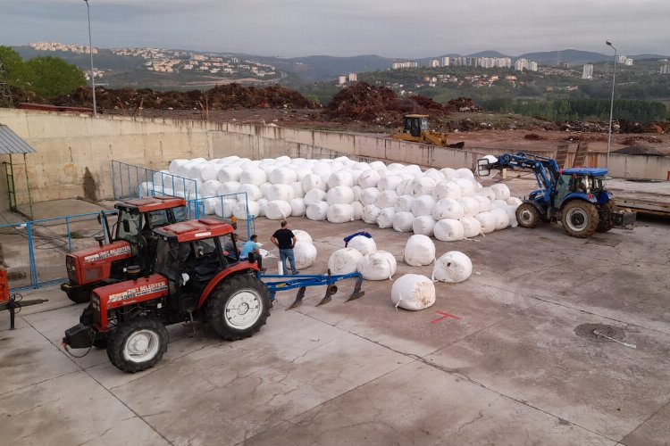 İzmit'te yüzde 100 hibeli silaj başvurularını uzattı