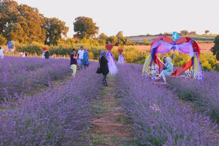İzmitliler Lavanta Şenlikleri'nde buluştu