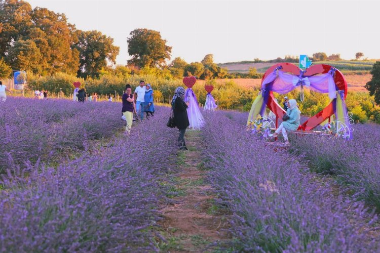 İzmitliler Lavanta Şenlikleri'nde buluştu