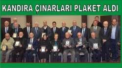 Kandıra Çınarlarını plaketle onurlandırdı