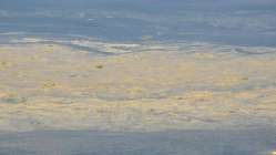 Karamürsel'de deniz yüzeyinde kirlilik oluştu
